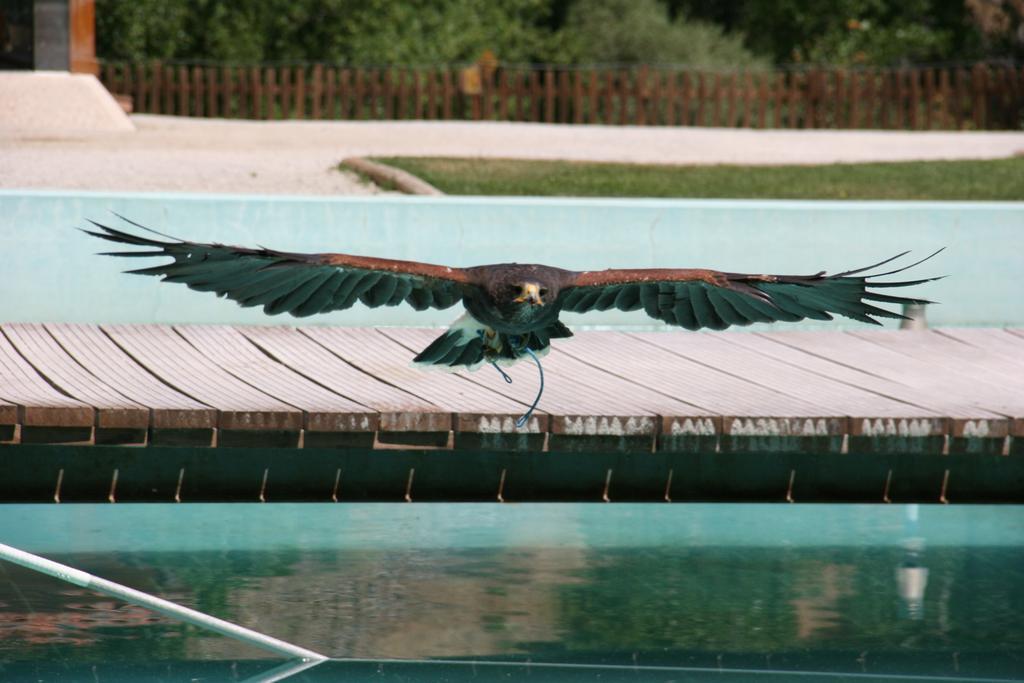 Quinta De La Barandica Guest House Miranda do Douro Ngoại thất bức ảnh